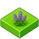 case_lavande_001.png