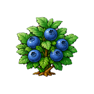 plante_myrtille.png