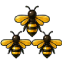 ui_colonie.png